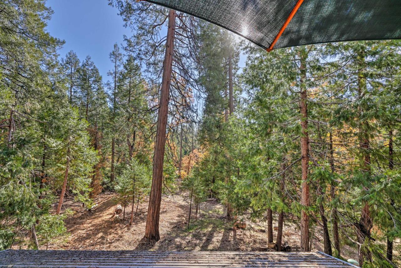 Quiet Twain Harte Cabin With Deck And Forest Views! エクステリア 写真