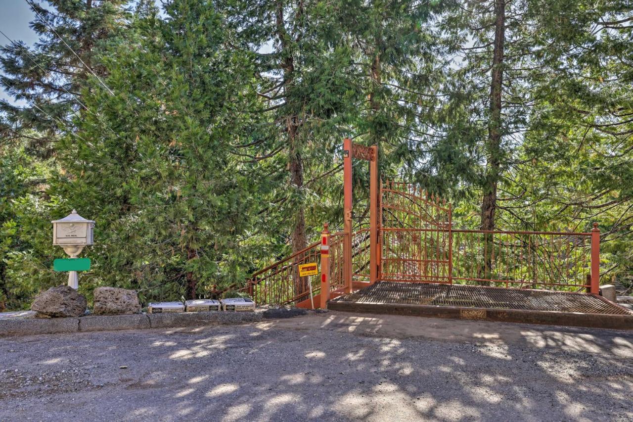 Quiet Twain Harte Cabin With Deck And Forest Views! エクステリア 写真